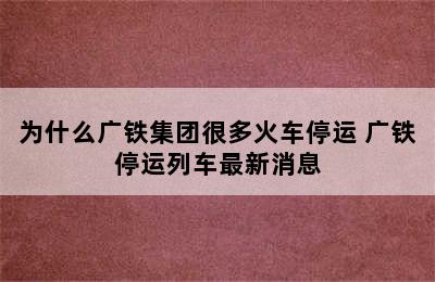 为什么广铁集团很多火车停运 广铁停运列车最新消息